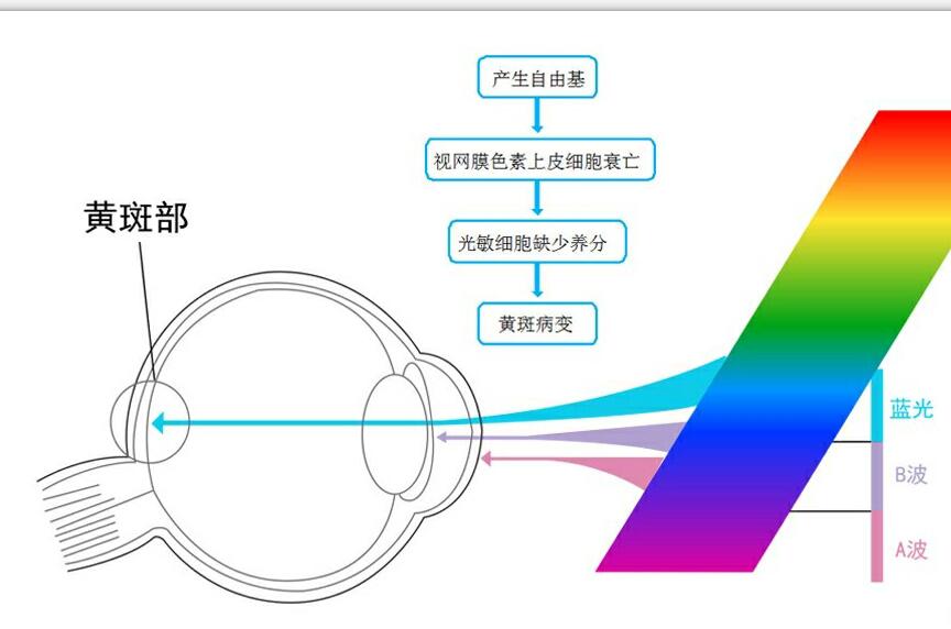 蓝光伤害