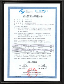 电气强度测量审核报告